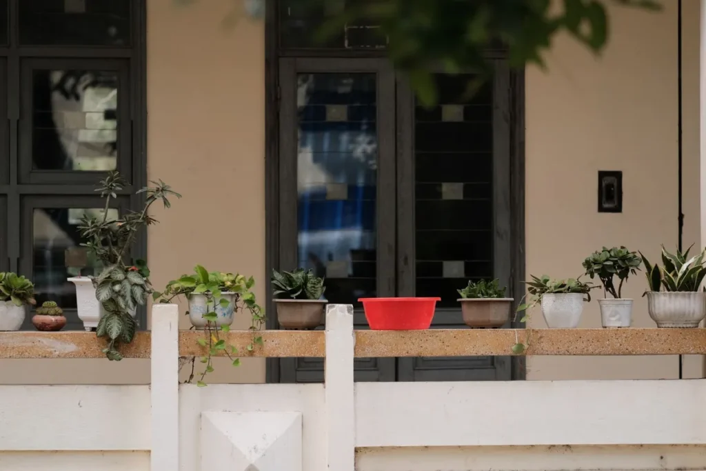 Pots de plantes et bac rouge posés sur un rebord de balcon devant une façade