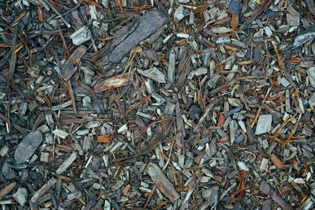 Gros plan sur du broyat de bois et d'écorce qui couvre le sol